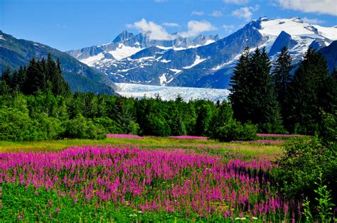 11 Stops To Include On The Perfect Alaska Itinerary - Linda On The Run