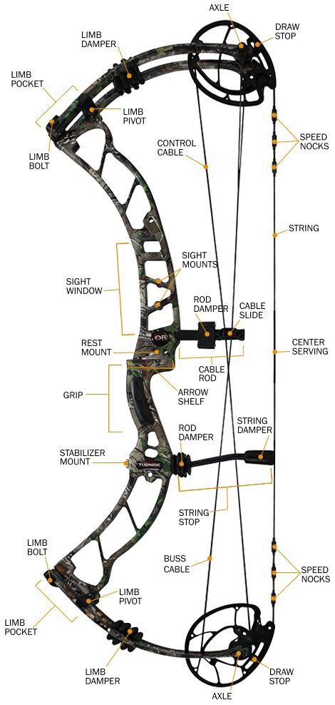 Compound Bow Specifications and Jargon, Chapter 1 | Hunter's Friend