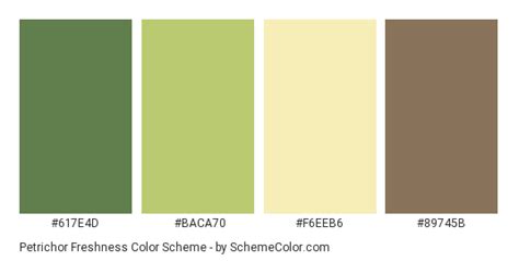 Pin by SchemeColor on Colors Schemes | Brown color schemes, Color schemes, Color