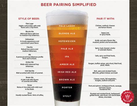 Beer Pairings Simplified — Cool Infographics