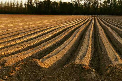 Soil Preparation In Agriculture, Methods, And Tips | Agri Farming