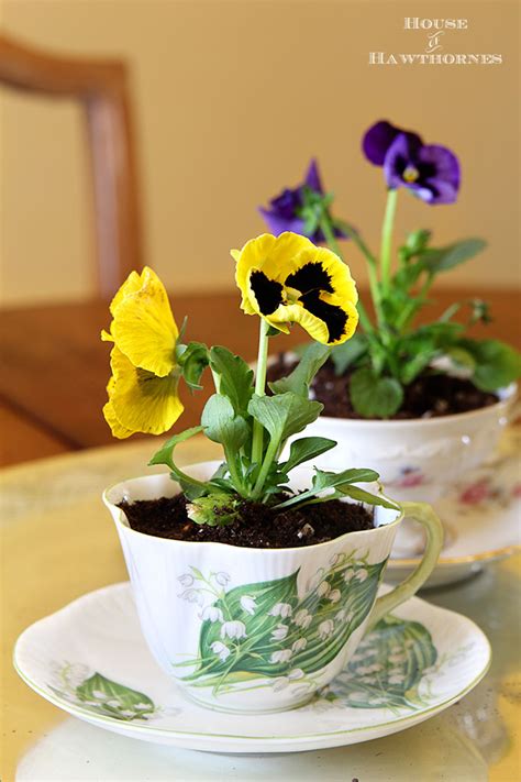 When Tea Cups Become Flower Pots – cute transformations