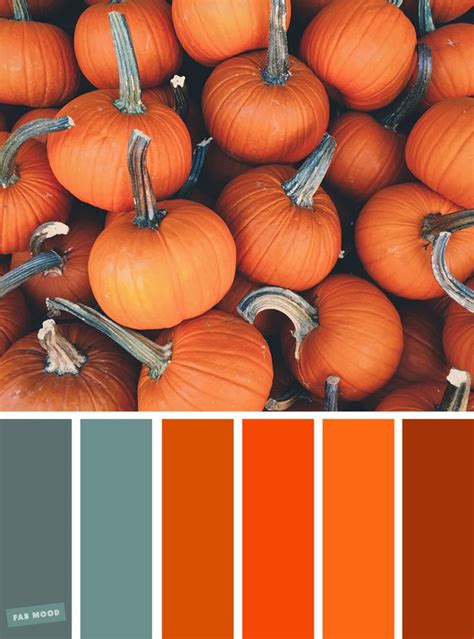 59 Pretty Autumn Color Schemes - { Orange Pumpkin Colour Inspiration } | Fall color combinations ...