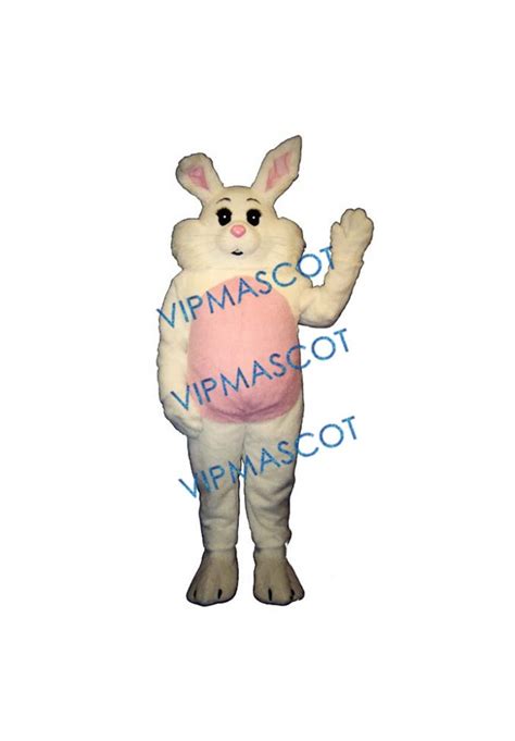 Willy Rabbit Mascot Costume