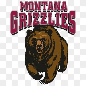 Montana Grizzlies Logo , Png Download - Montana Grizzlies Logo ...