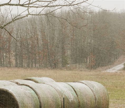 Farming in a Winter Storm - Plane View Farm