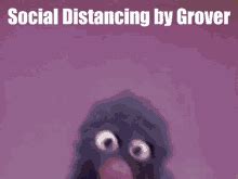 Grover Near Far GIFs | Tenor