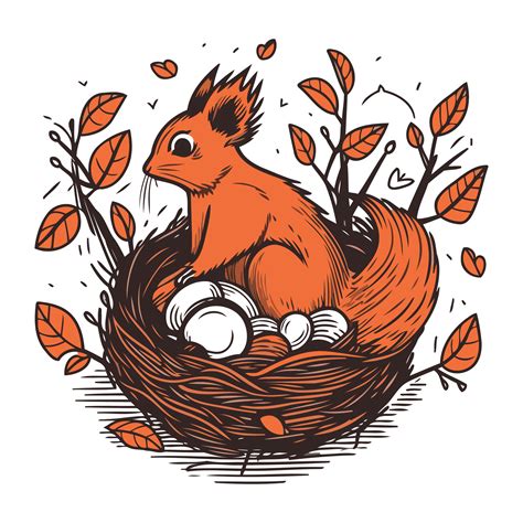 Hand drawn vector illustration of a squirrel in a nest with eggs ...