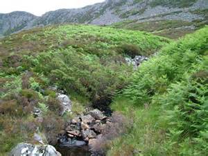 Fox Earths Gill © David Brown :: Geograph Britain and Ireland