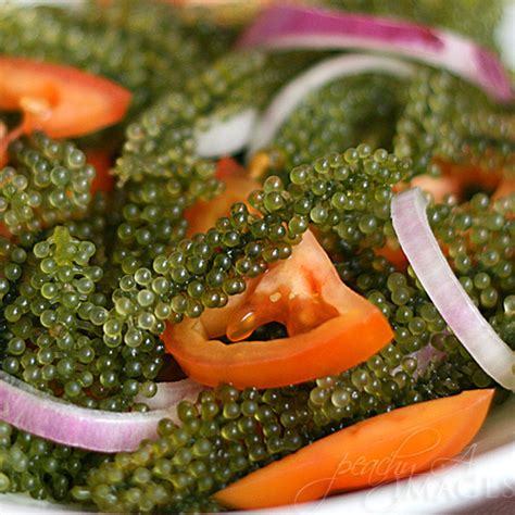 A seaweed called Lato: Lato Salad - The Peach Kitchen