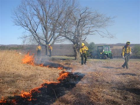 Prescribed Fire Program at Saratoga Battlefield - New York History