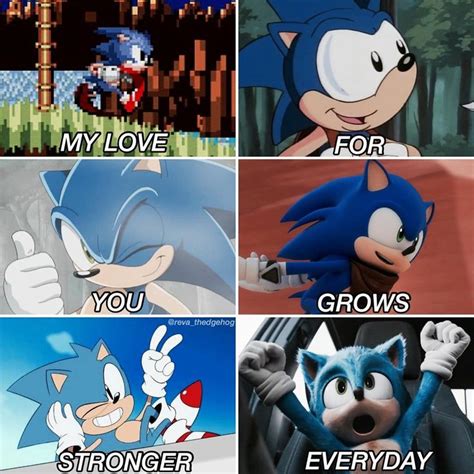 Pin by Layla At on Sonic The Hedgehog | Sonic the hedgehog, Sonic heroes, Sonic funny