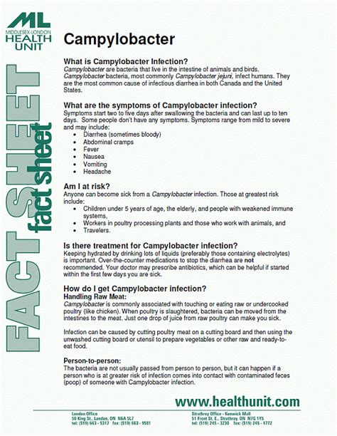 Campylobacter — Middlesex-London Health Unit