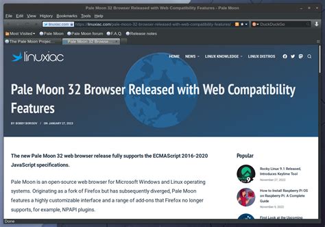 Pale Moon 32 Browser Released with Web Compatibility Features