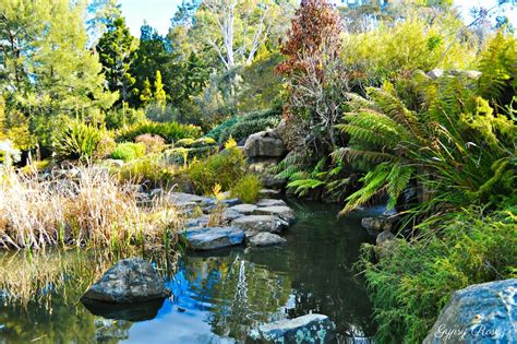 australian-national-botanic-gardens-canberra-botan1 - Living + Nomads ...