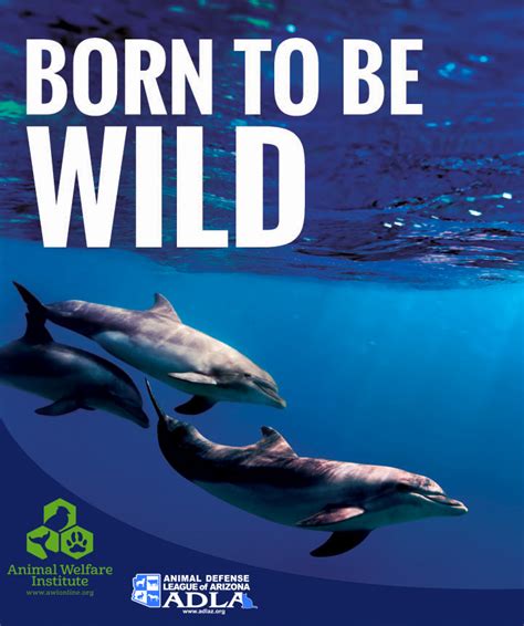 Dolphin Anti-Captivity Campaign - Animal Defense League of Arizona