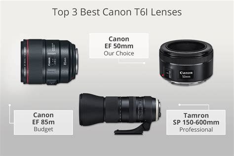 7 Best Lenses for Canon Rebel T6i in 2024