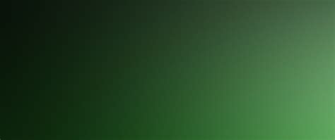 Dark Green Background Wallpaper - WallpaperSafari