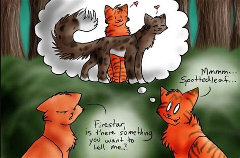 Firestar love a spottedleaf | Warriors Amino