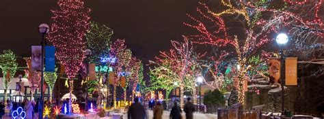 Zoo Lights, Chicago IL - Nov 29, 2019 - 6:00 PM