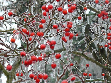 Geology in Motion: Winter storm in southeast U.S. Freezing rain expected