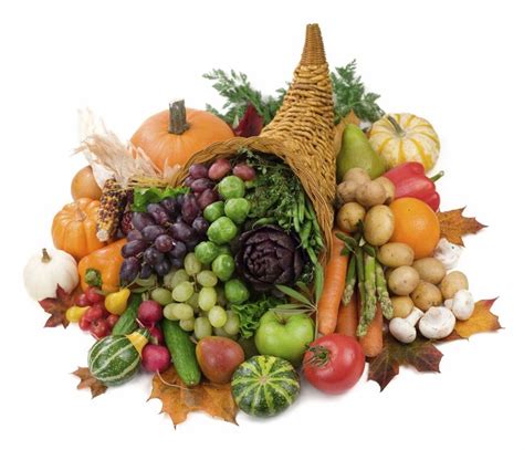 Cornucopia+Fruits+and+Vegetables (With images) | Food, Fruits and vegetables, Vegetables