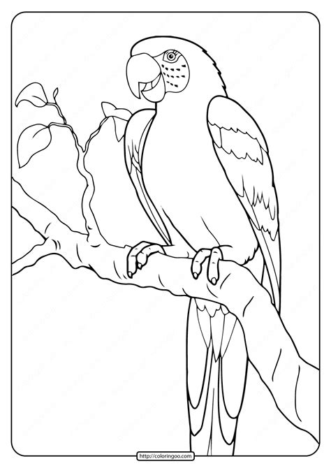 Parrot Coloring Page