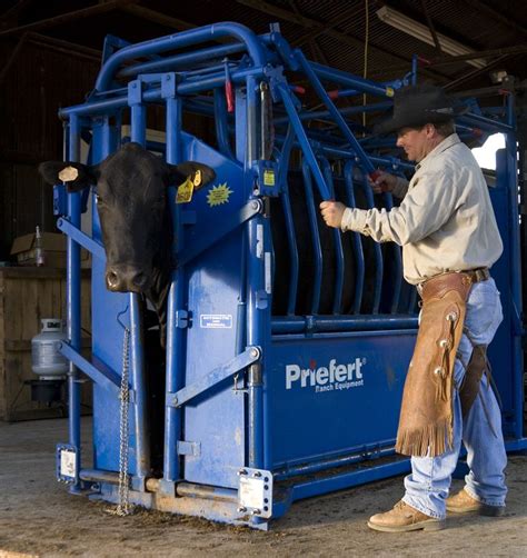 Handling Equipment Equipment | Cattle, Cattle ranching, Mini cows