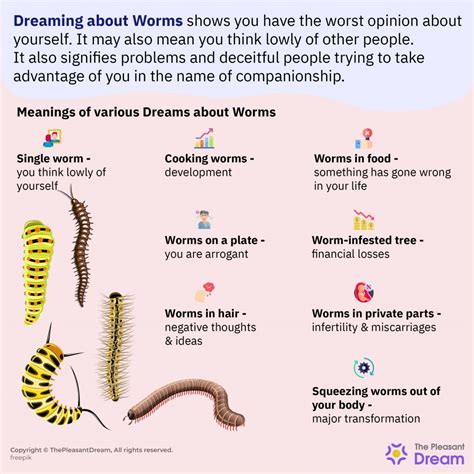 Worms Coming Out Of The Body