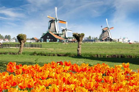 Cùng Vietravel đến Hà Lan khi mùa hoa tulip đẹp nhất!- Thông tin du ...