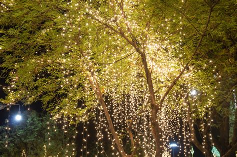 28 Garden Lighting Ideas To Illuminate Your Outdoor Space | DIY Garden