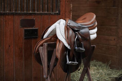 5 Best English Saddle Brands on the Market - Horse Rookie