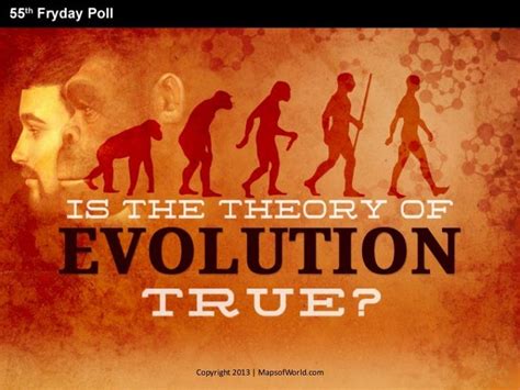 Is The Theory Of Evolution True? - Facts & Infographic