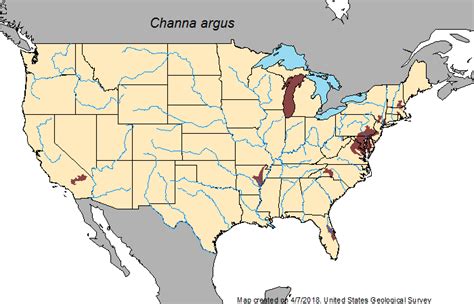 Virginia Tech Ichthyology Class : Northern Snakehead Expanding Range, by Don Orth