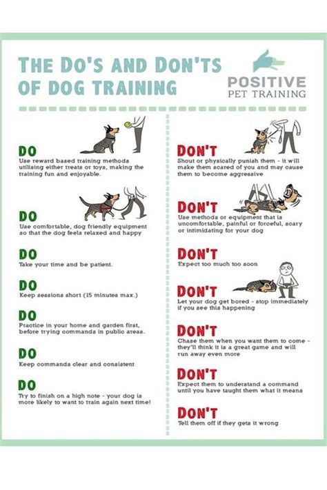 dog training tips | Dog training, Dog training tips, Puppies