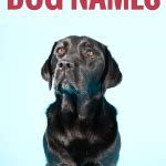 500 Old Fashioned Dog Names - Puppy Leaks