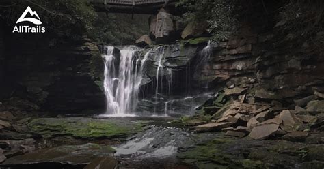 Best Trails in Blackwater Falls State Park - West Virginia | AllTrails