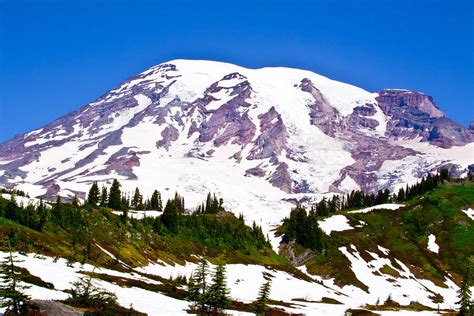 Mt. Rainier - View from Paradise Photograph by David Patterson | Pixels