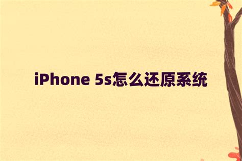 iPhone 5s怎么还原系统？苹果手机还原方法_醉心果