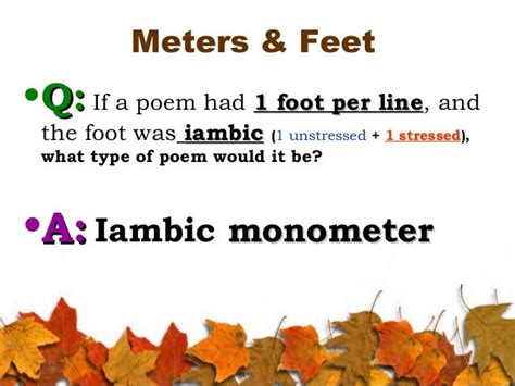 Meter in Poetry