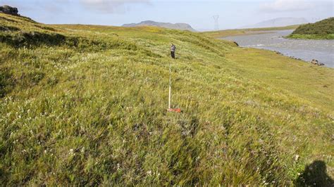 Terrestrial habitat types | Icelandic Institute of Natural History