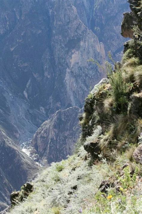 Arequipa, Colca Canyon | Natural landmarks, Arequipa, Outdoor