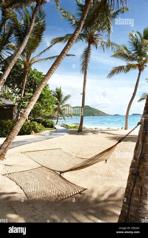 beach hammock palm trees Stock Photo: 43334989 - Alamy