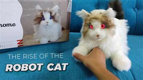 Personal Robot Pet Cat Unboxing & Review which you can buy in India ...