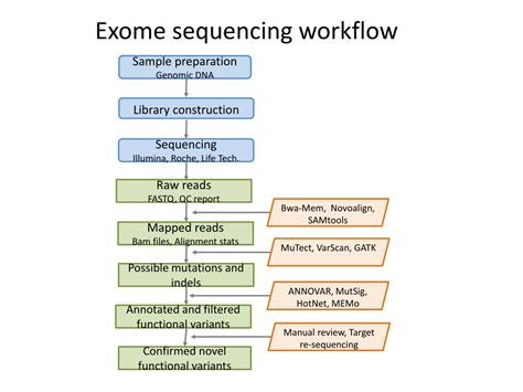 PPT - Exome Sequencing Data Analysis PowerPoint Presentation, free download - ID:523032