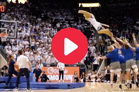 BYU Mascot Dunk: Cosmo the Cougar Flies From 3-Point Line [VIDEO] | Fanbuzz