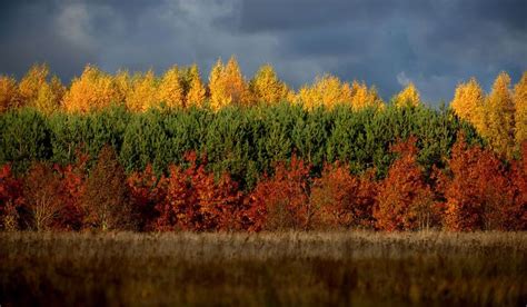 [Trending] This Is How The Lithuanian Flag Got Its Colors | Lithuanian ...