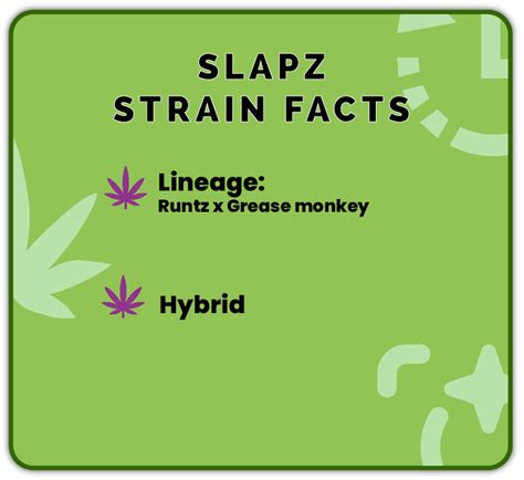 Strain Page (Slapz) - Cheeba Comida - NJ Dispensary Guide