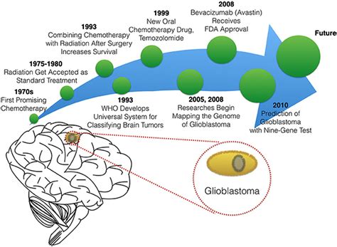 The course of treatment for glioblastoma in Ozdemir‐Kaynak et al.¹ ...