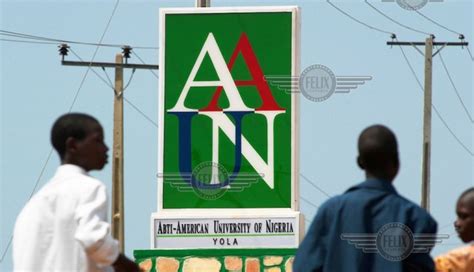 American University of Nigeria Appoints Dawn Deckle as President - GBSN